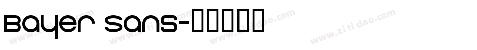 Bayer Sans字体转换